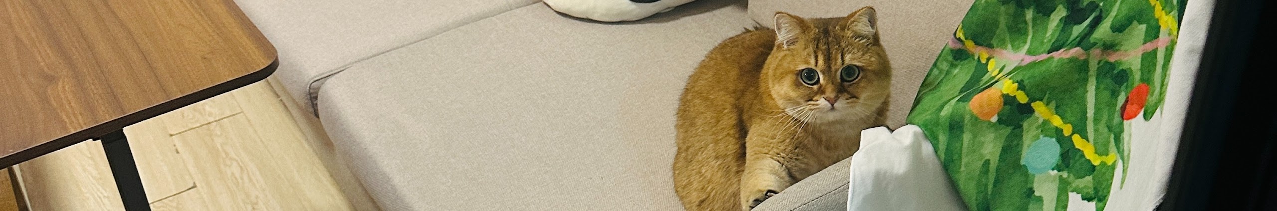 宝点工作室 YouTube 频道背景图